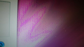 apple corrupted display